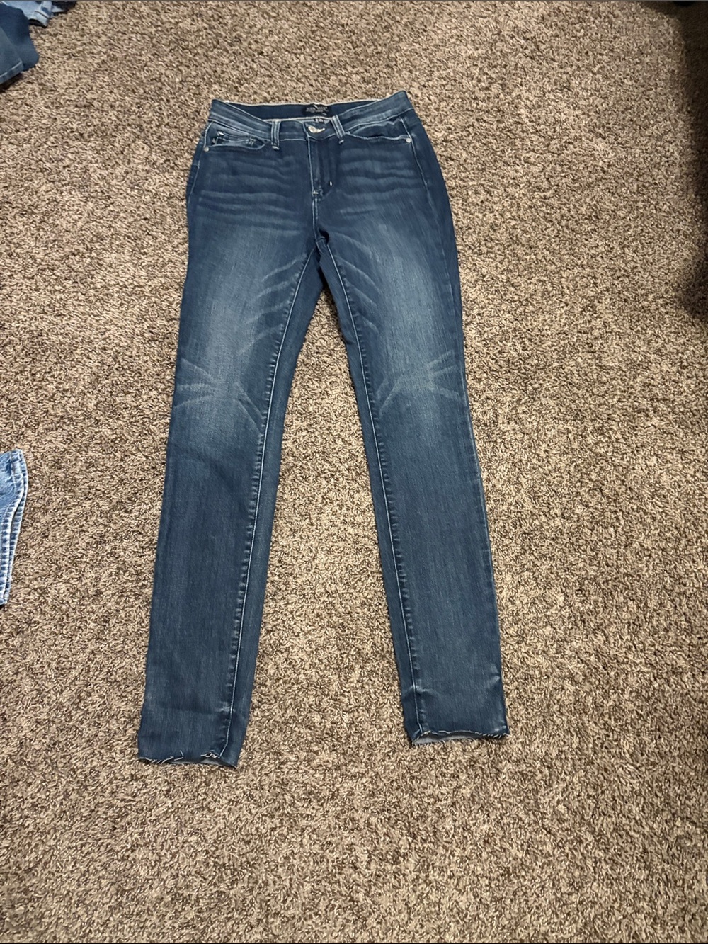 Judy Blue Dark Wash Skinny Jeans